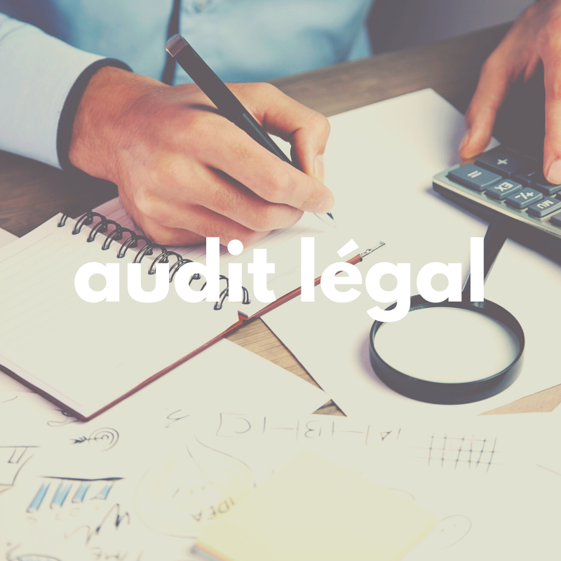 audit legal