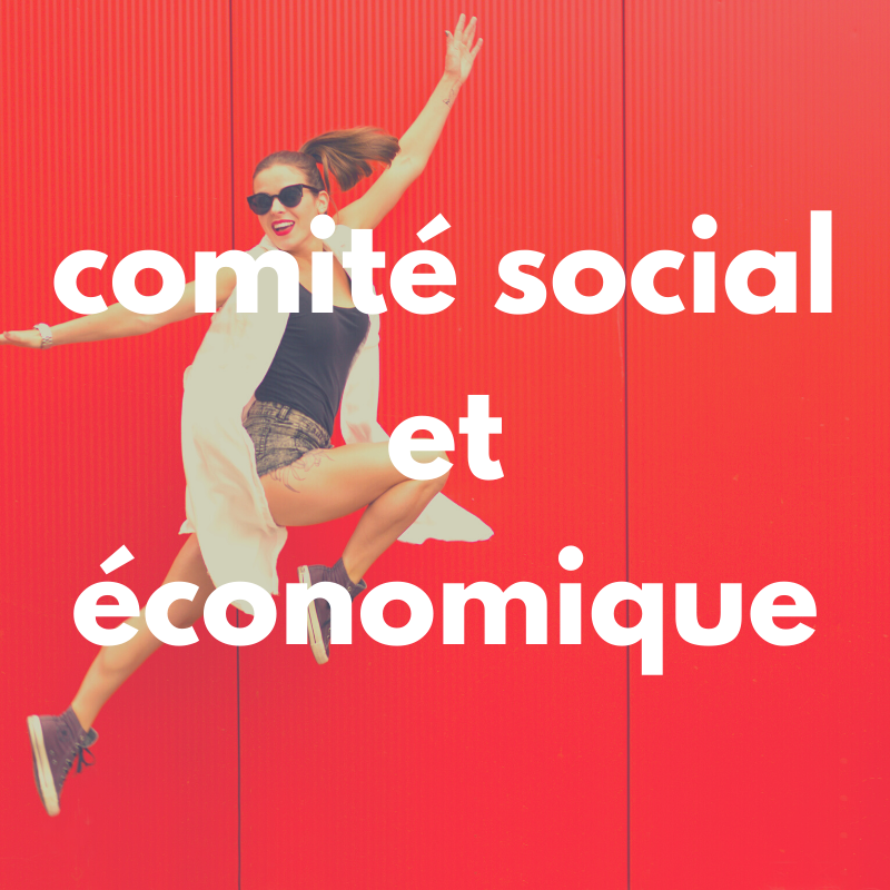 comite social et economique