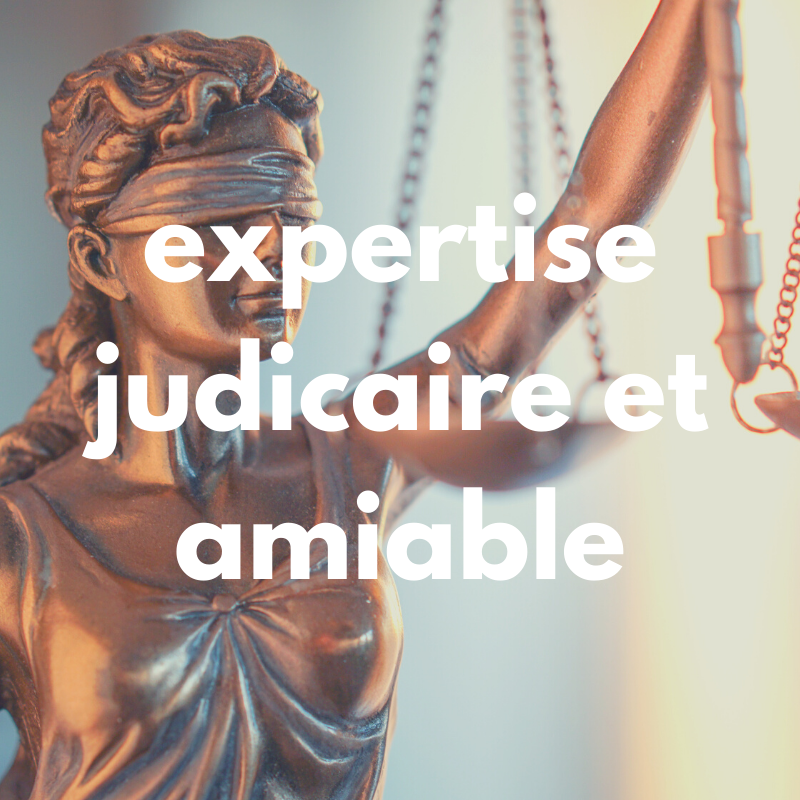 expertice judiciaire et amiable